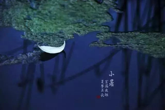 小钢钢摄影教程：借助光影构图，把生活拍成一幅画